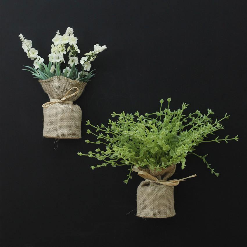 Kompakt mágneses növények Surrey