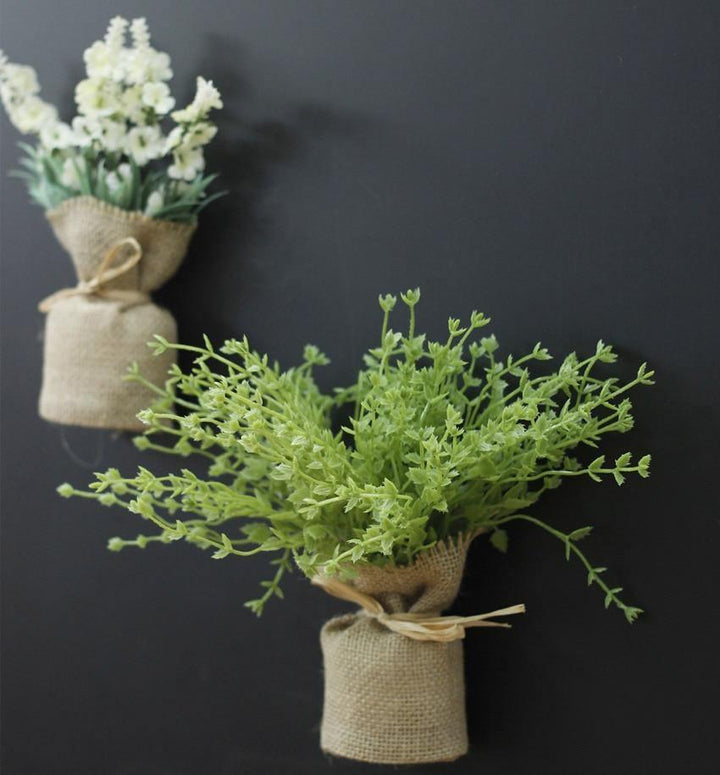 Kompakt mágneses növények Surrey